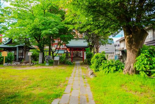 【青森】善知鳥神社 龍神之水 2025 【青森】善知鳥神社 龍神之水 2025の写真