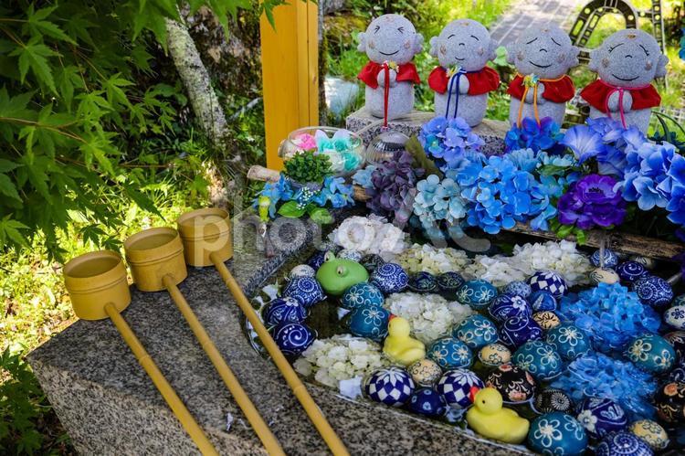 花手水とお地蔵さん・其の二 花手水,手水舎,お寺の写真素材