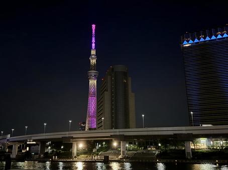 夏の空とバイオレットに光るスカイツリー 夏の空とバイオレットに光るスカイツリーの写真