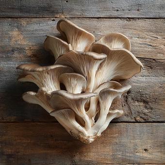 料理に使う山盛りのヒラタケの塊の写真