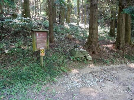 高野山 町石道 銭壺石 高野山 町石道 銭壺石の写真