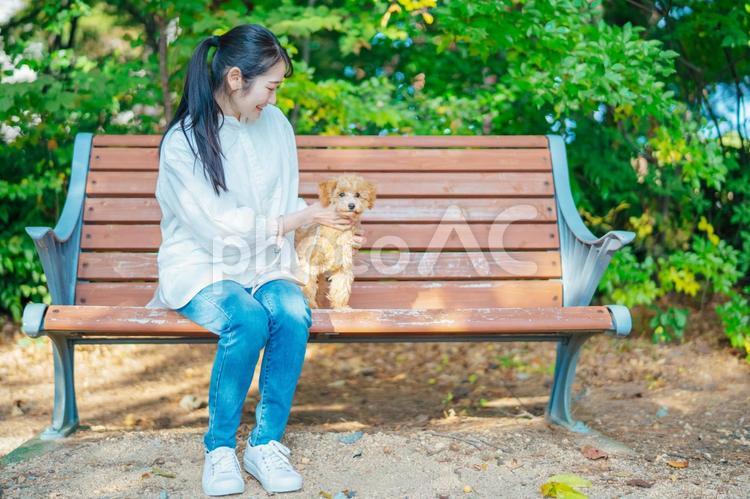 公園で犬と遊ぶ女性（話す・全身） 犬,ペット,散歩の写真素材