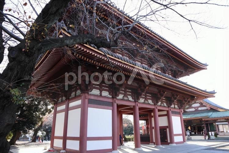 池上本門寺　仁王門 パワースポット,仁王門,名所の写真素材