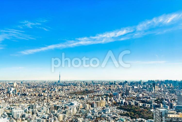 スカイツリーの見える東京の景観 都市風景,スカイツリー,風景の写真素材