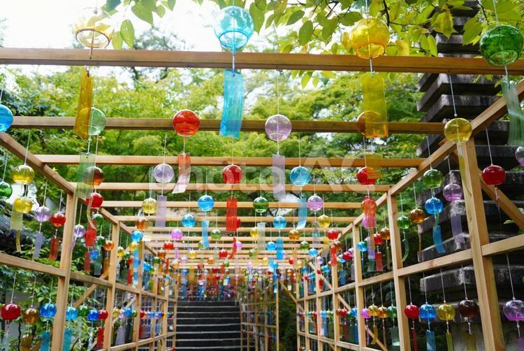 西教寺のたくさんの風鈴 風鈴,おしゃれ,風景の写真素材