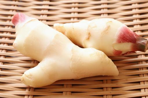 新生姜 新生姜 新ショウガ,生姜,薬味の写真素材