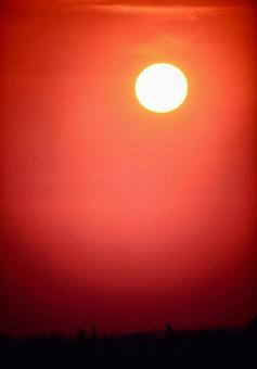 夕陽 夕陽の写真