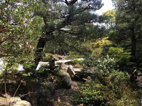 和の風景 和の風景の写真