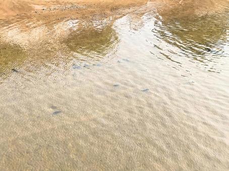 穏やかな水面と砂浜の風景 穏やかな水面と砂浜の風景の写真