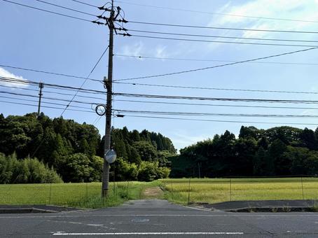 夏の田舎の風景　福井県越前市 福井県,越前市,田舎の写真素材