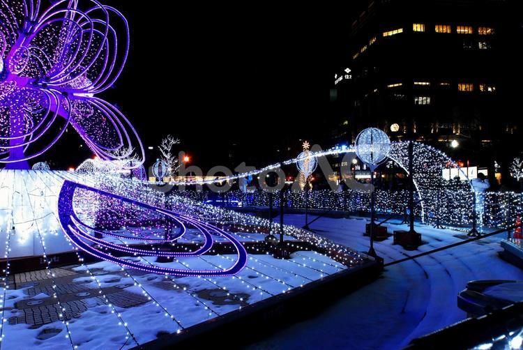 さっぽろホワイトイルミネーションの輝き 札幌ホワイトイルミネーション,ホワイトイルミネーション,光の写真素材