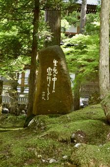 2025年夏の永平寺 木陰の句碑 2025年夏の永平寺 木陰の句碑 句碑,石碑,モノリスの写真素材