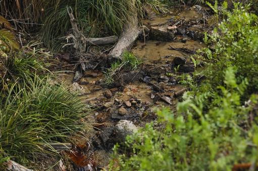 A stream with clear water, JPG