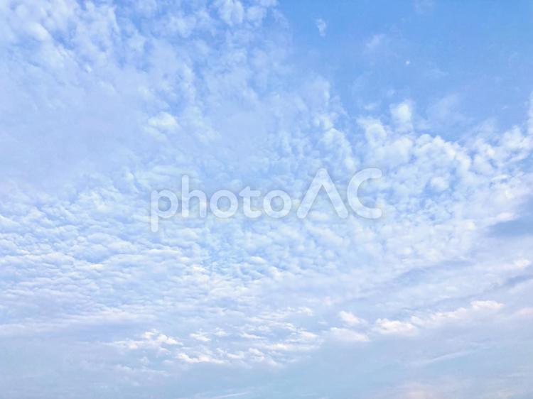 うろこ雲の背景イメージ 背景,素材,バックグラウンドの写真素材