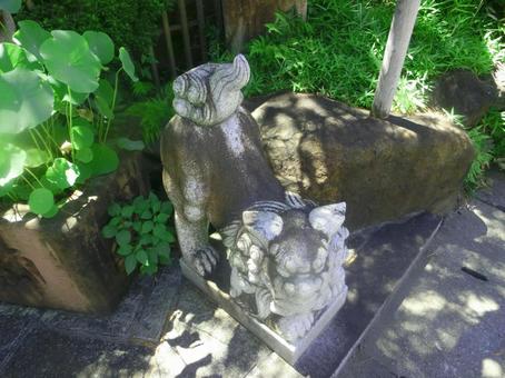 日本庭園 日本庭園の写真