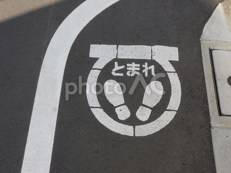 道路の止まれマーク 標識,止まれ,道路標識の写真素材