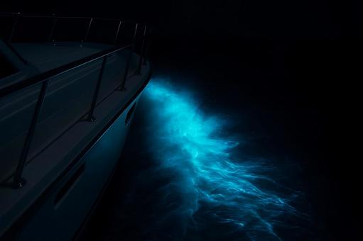 プレジャーボートの引き波と夜光虫の光1 プレジャーボートの引き波と夜光虫の光1の写真