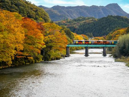 水郡線と久慈川　奥久慈男体山 水郡線,紅葉,久慈川の写真素材