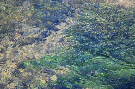 湖の水面 湖の水面の写真