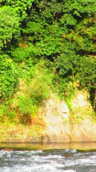 島根県-高津川 島根県-高津川の写真