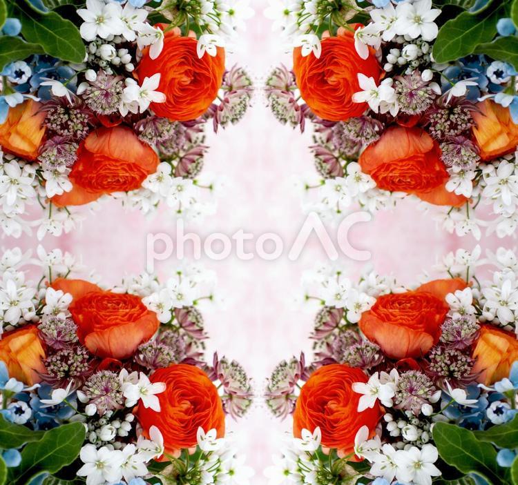 カラフルな4種花柄イメージ素材 花,白,アリウムの写真素材