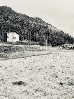 田舎の風景 田舎の風景の写真