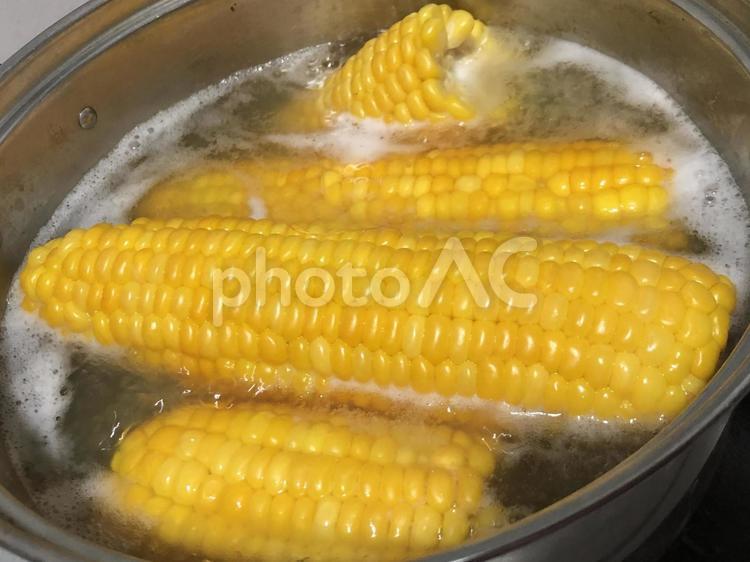 とうもろこし とうもろこし,コーン,夏の写真素材