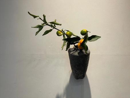 壁にかけられた花器 壁にかけられた花器の写真