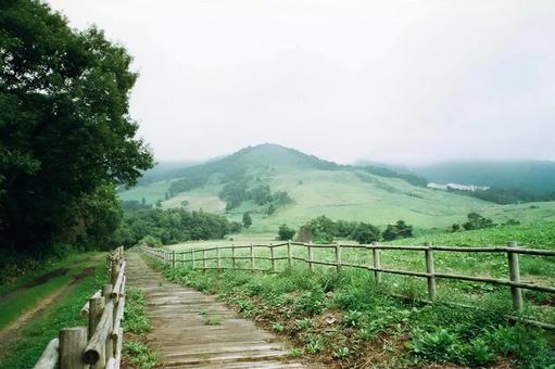 山の木道(フィルム写真) 山の木道(フィルム写真)の写真