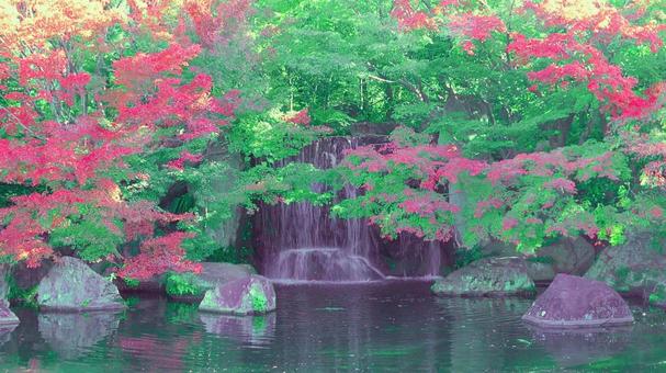 姫路城 好古園8 姫路城,好古園,紅葉の写真素材