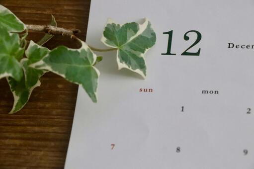 カレンダーと観葉植物 １２月イメージ 12月,12,１２月の写真素材