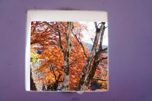 四角い穴から見た秋景色 紅葉,映え,晩秋の写真素材