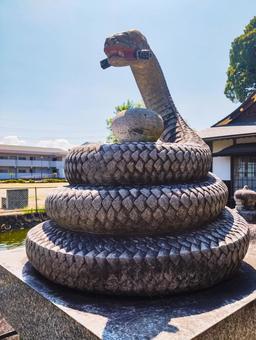 白蛇辨財天吽形の蛇 白蛇辨財天吽形の蛇の写真