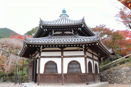 善峯寺　経堂 善峯寺,経堂,よしみねでらの写真素材