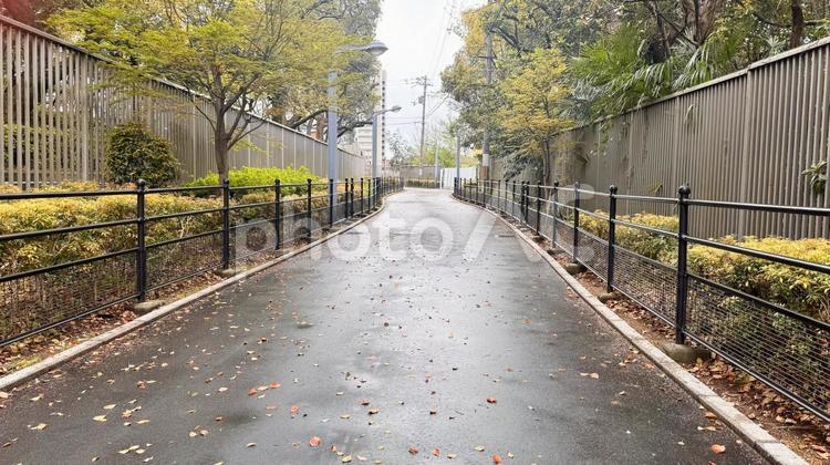 散歩の合間の風景 散歩,歩道,道の写真素材