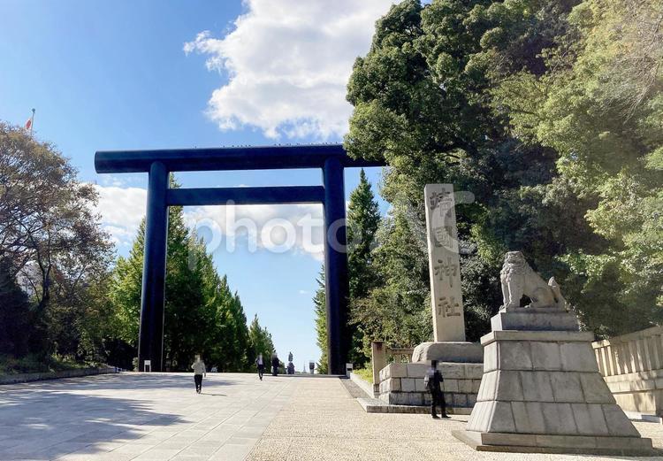 東京風景・靖国神社 靖国神社,靖国,神社の写真素材