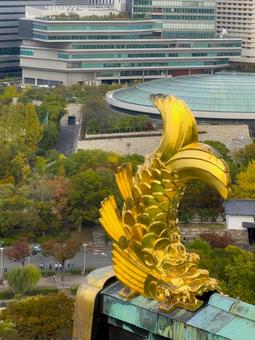 大阪城 金のシャチホコ しゃちほこ,大阪城,大阪の写真素材