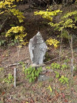 大沢の堤の碑の写真