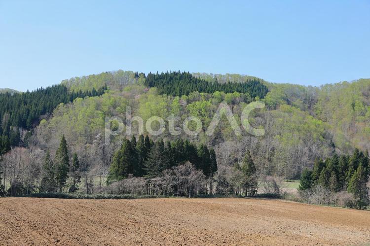 田舎の春(新緑) 田舎,春,新緑の写真素材