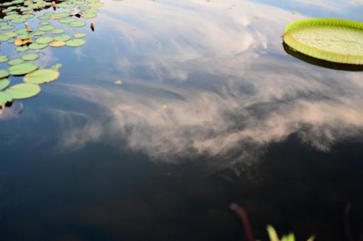 A summer afternoon, the sky and clouds spread out on the water, JPG