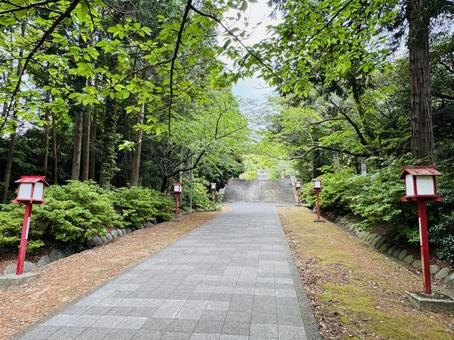 参道 参道 神社,参道,階段の写真素材