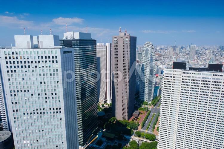 東京都庁からの景色 東京,東京都,新宿の写真素材