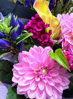 おしゃれな秋の花 おしゃれな秋の花の写真