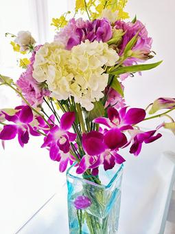 Photo, flour, present, flower, 