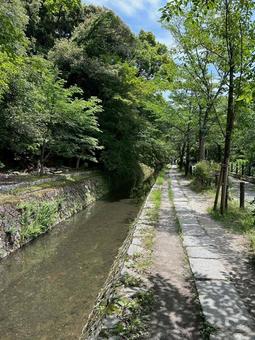 散歩 散歩の写真