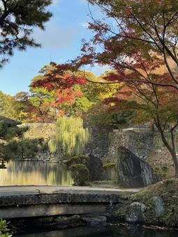 初紅葉 西の丸庭園,紅葉渓庭園,初紅葉の写真素材