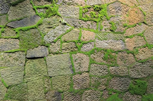 石壁の苔(9月撮影) 石壁の苔(9月撮影)の写真