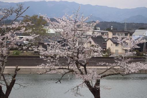 球磨川 球磨川 球磨川,熊本,人吉の写真素材