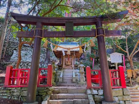 金華山の金椿神社 金華山の金椿神社の写真