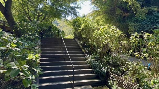 明月院階段 明月院階段 明月院,寺社仏閣,神奈川の写真素材